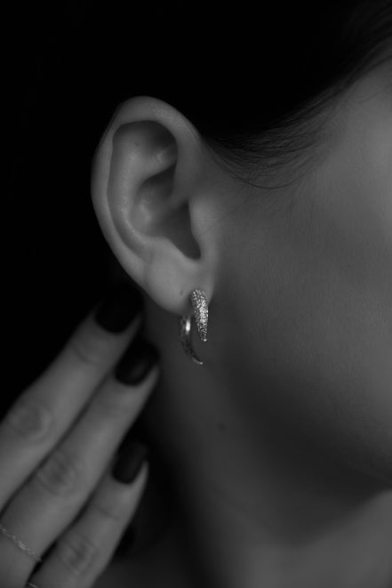 Earrings Claws